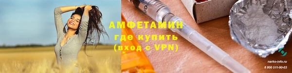 дживик Краснослободск