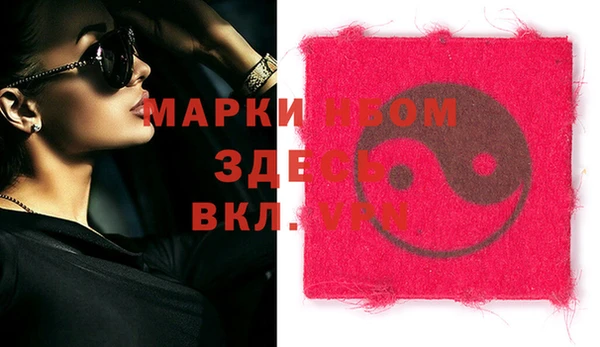 дживик Краснослободск