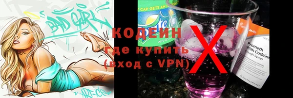 дживик Краснослободск