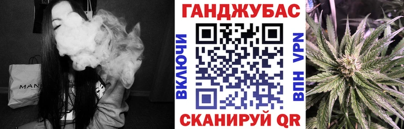 Купить закладки  Няндома  Бошки Шишки планчик 